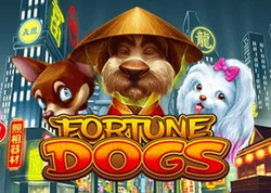 Fortune Dogs